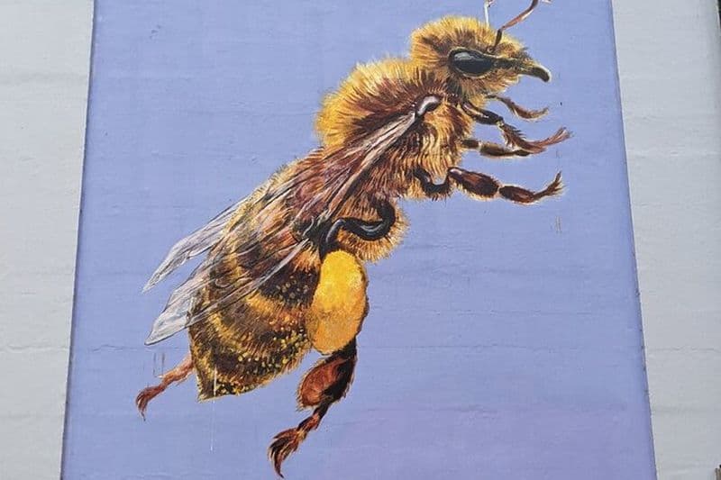 Chasse au trésor interactive des secrets de Bristol