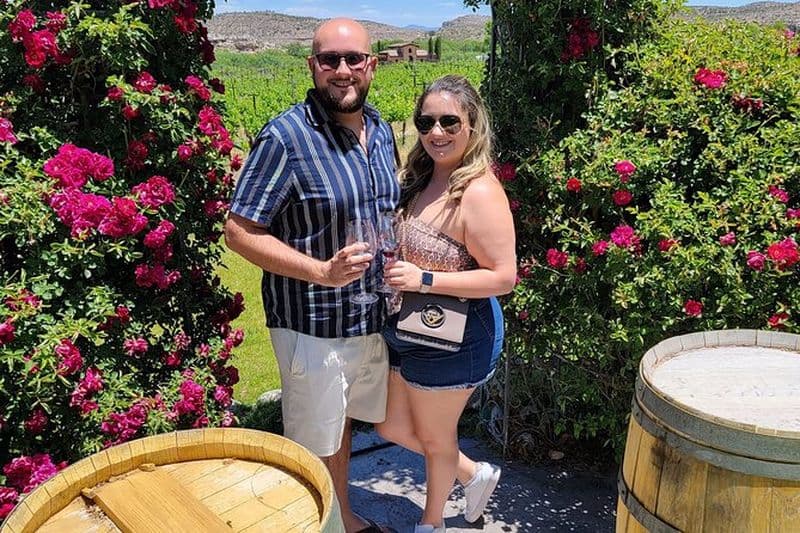 Visite privée des vins, élu meilleur de la ville, Dégustations incluses!