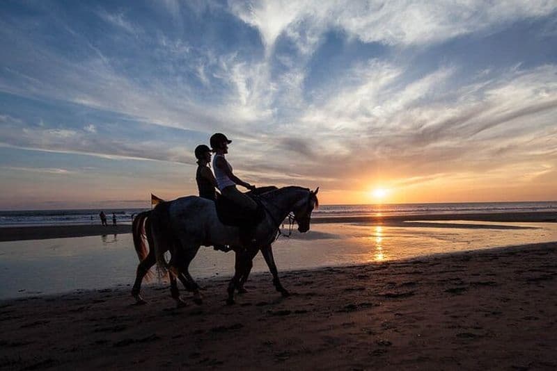 Équitation à l'île Maurice à Riambel