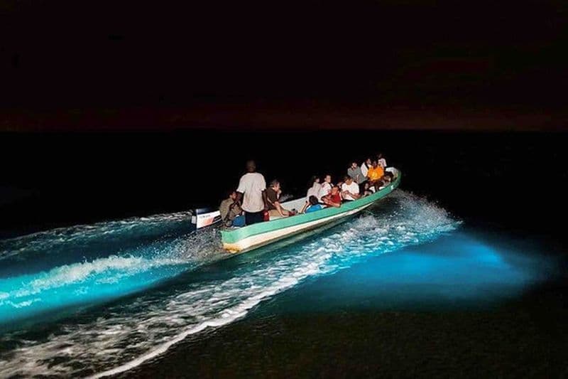 Expérience de plongée en apnée et de bateau avec bioluminescence à Bocas del Toro