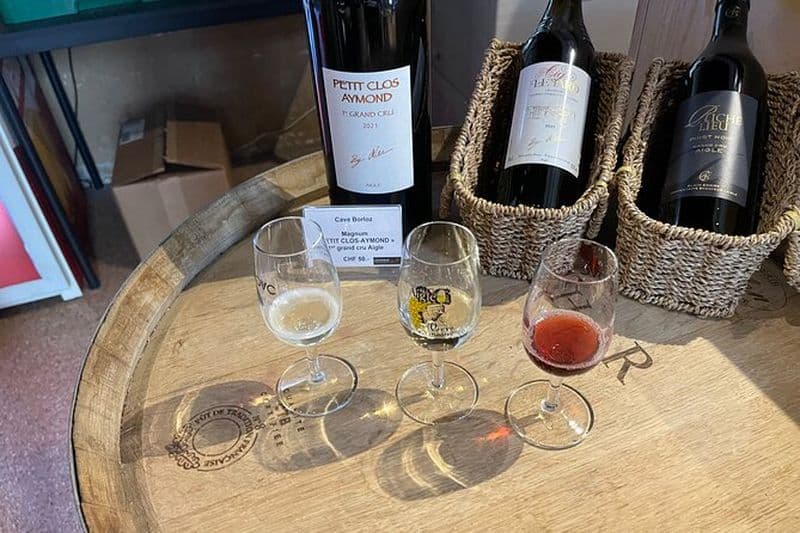 Visite des Vignobles de Lavaux et Musée du Vin au Château d'Aigle