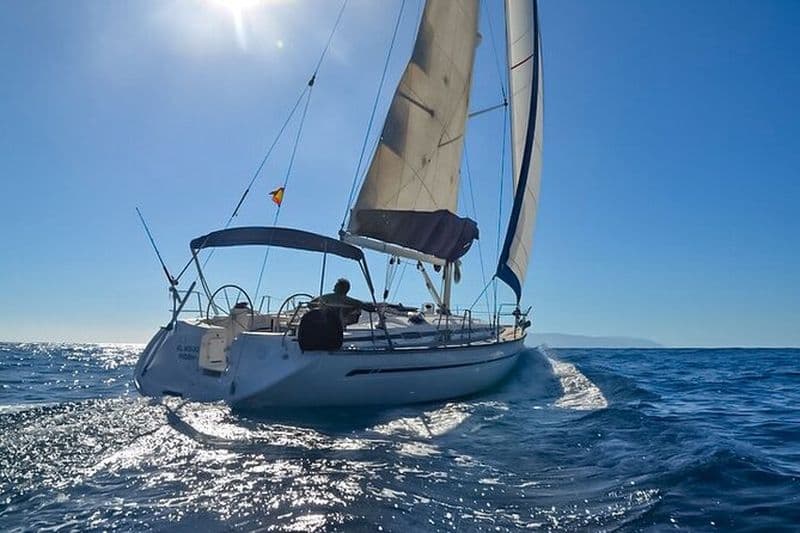 Excursion d'observation des dauphins et des baleines à Los Gigantes