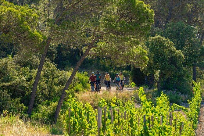 Billet Balades Guidées à VTT Electrique et Dégustation en Pic Saint Loup
