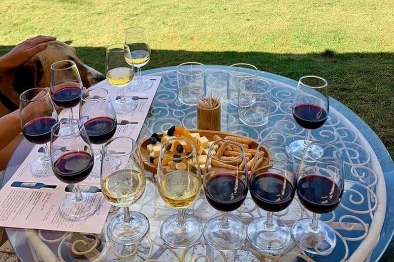 Billet Visite de dégustation de vins dans deux établissements vinicoles à Urla en Turquie