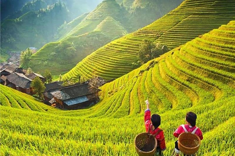 Visite privée de 3 jours au départ de Pékin en avion: Guilin, rizière Longji et Yangshuo