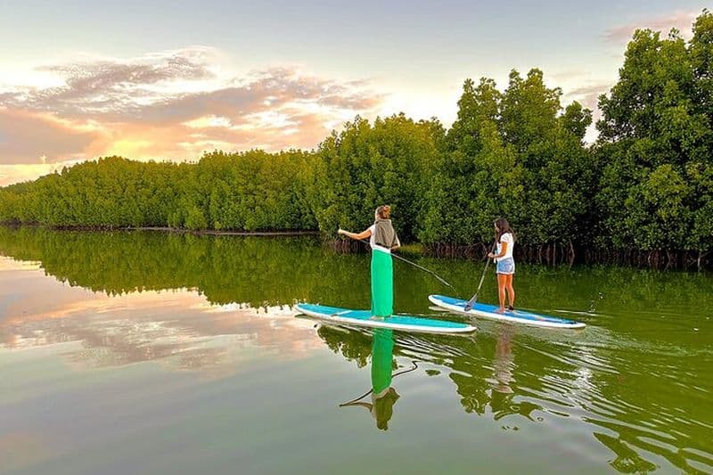 Maurice : Stand Up Paddle guidé sur la rivière Tamarin