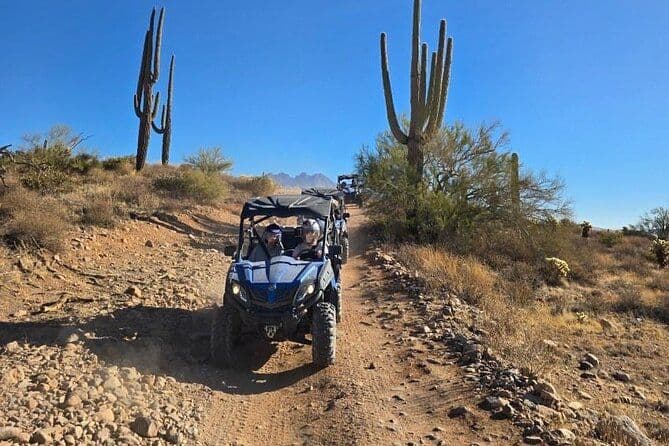 Désert de Sonora, visite guidée en VTT/UTV 2 personnes en buggy de sable Phoenix