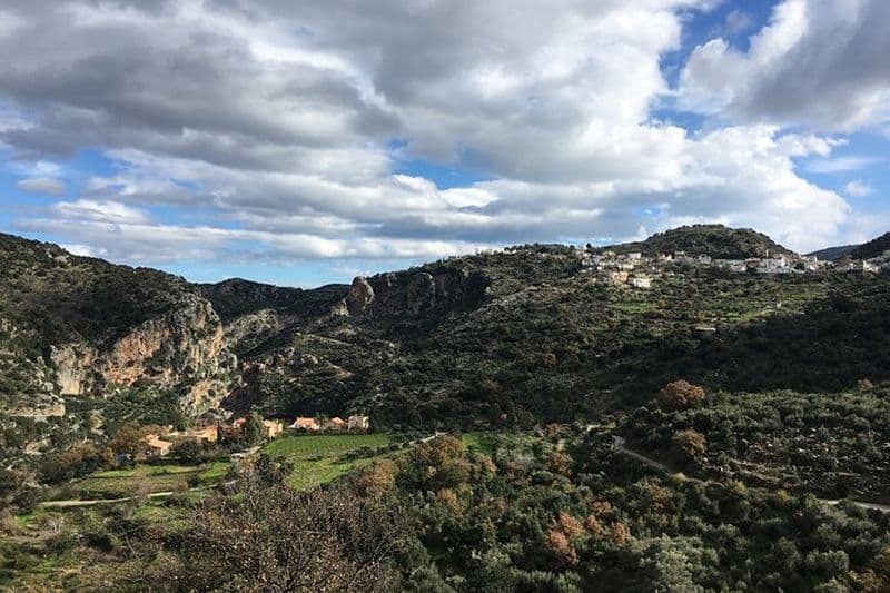 Explorez le processus de fabrication de la cabane du berger et du fromage