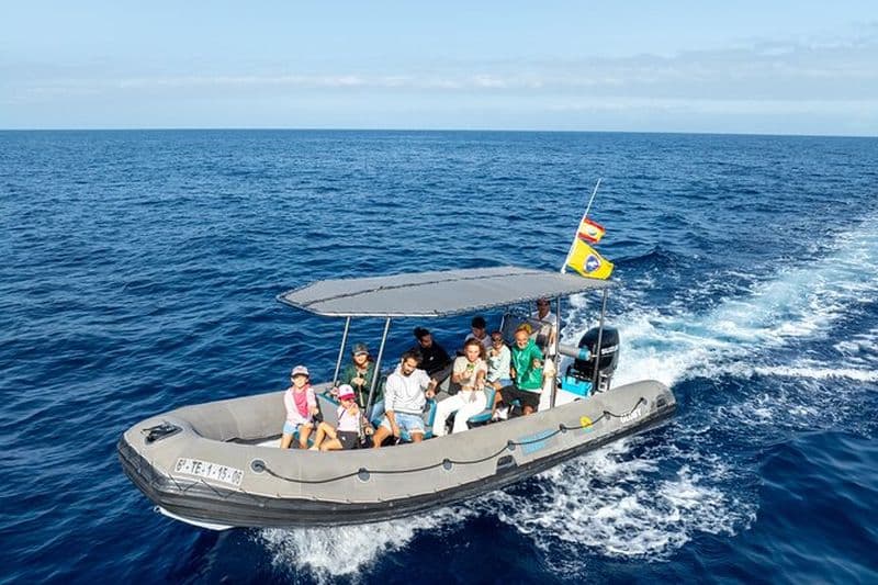 Billet Eco-aventure d'observation des baleines de Costa Adeje