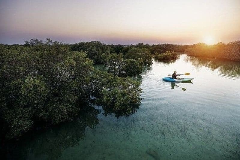 Aventure de kayak de mangrove d'Al Thakira avec transfert