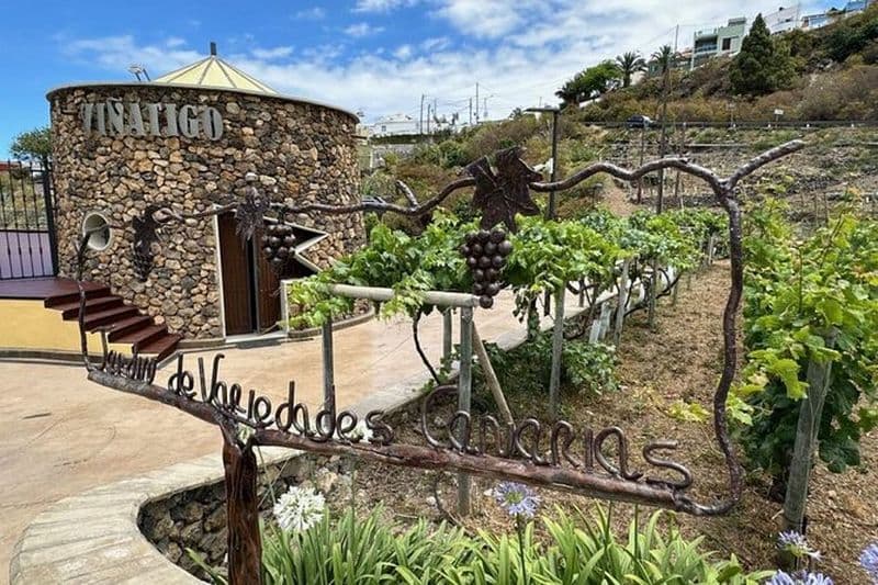 Visite Guidée avec Dégustation de 6 Vins