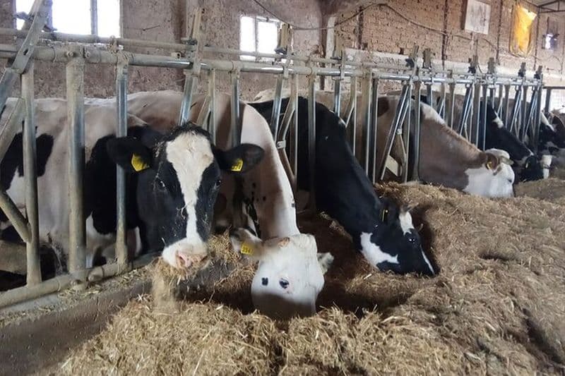 Randonnée d'une journée complète autour de Santa Scolastica