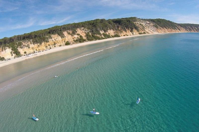 De Noosa: Stand Up Paddle Wildlife & Beach 4X4 Adventure