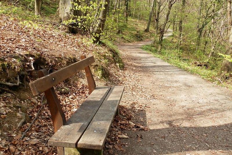 Randonnée pédestre classique des alpinistes de Zagreb sur Medvednica