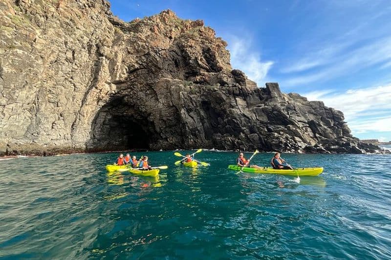 Billet Excursion en kayak dans le sud de Tenerife