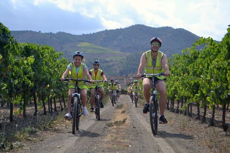 Billet L'évasion du raisin! Faire du vélo dans de beaux paysages avec dégustation de vin