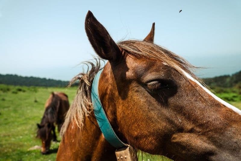 AIZKORRI TREKKING - Aventure privée en plein air