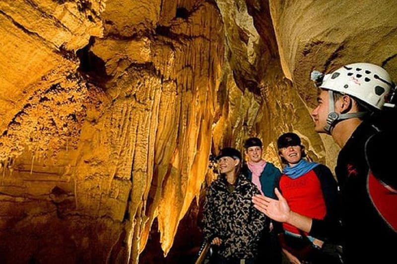 Billet Chauffeur privé des grottes de Waitomo pour la visite