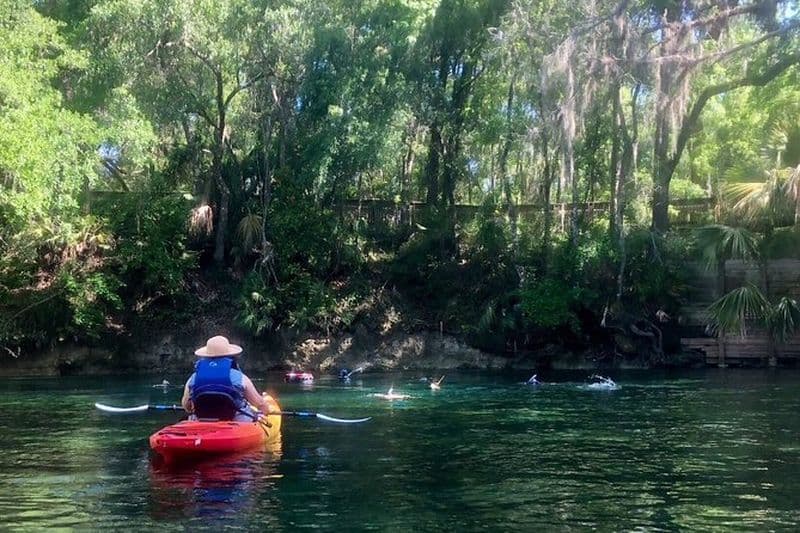 Visite guidée en kayak de la rivière Wekiva