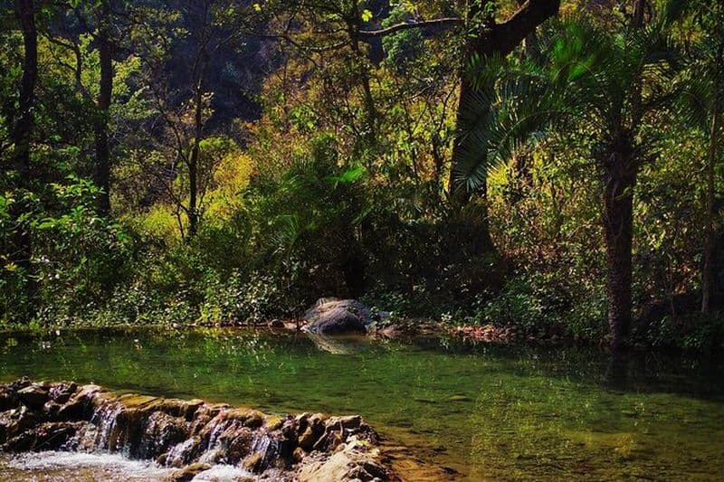 Billet Randonnées himalayennes modérées près de Rishikesh depuis Delhi