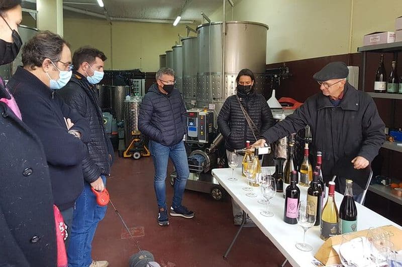 Visite de dégustation de vins du Priorat au départ de Salou avec prise en charge à l'hôtel
