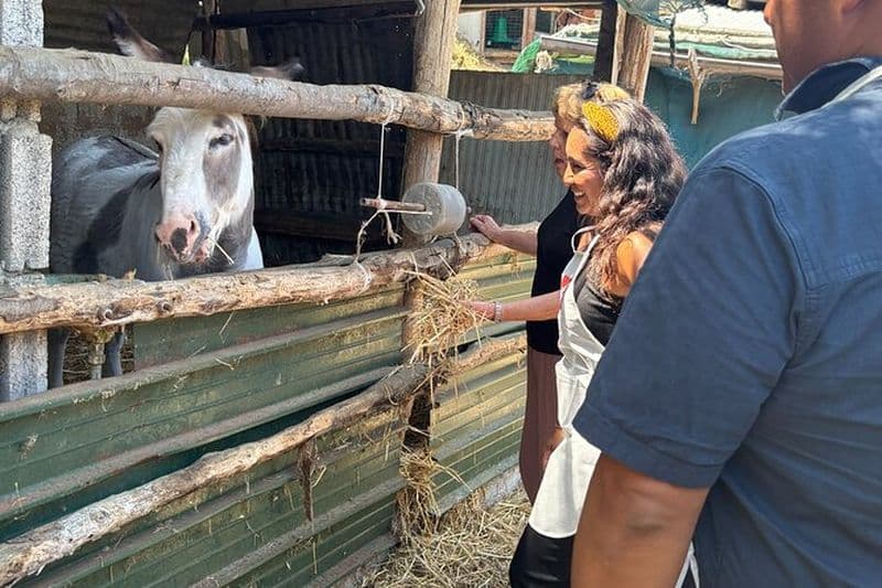 Expérience authentique de la ferme à la table: Faire Pizza & fromage frais