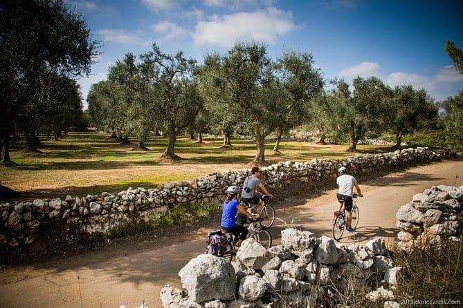 Excursion en vélo à travers Salento : excursion de 4 heures en vélo à Capo di Leuca