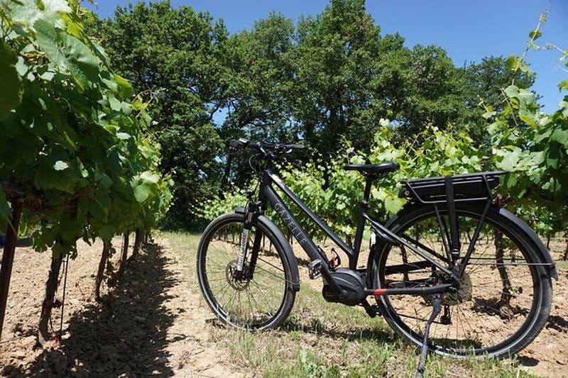 Billet Vignoble des Alpilles à vélo