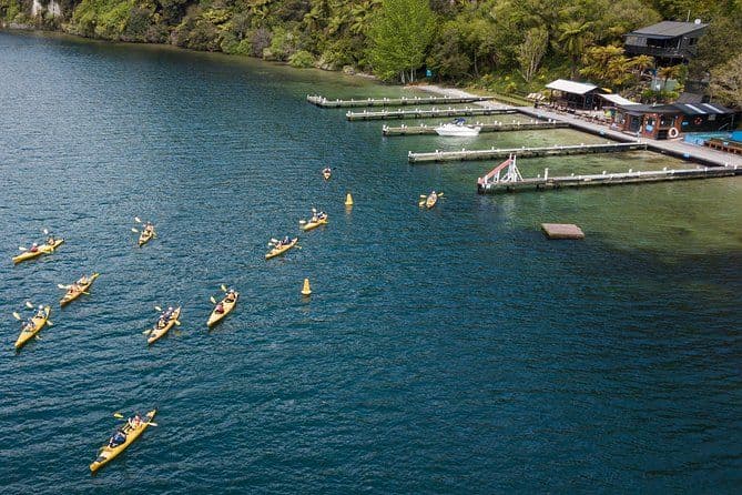 Tour en kayak des sources d'eau chaude du lac Rotoiti et des grottes de Glowworm au départ de Rotorua