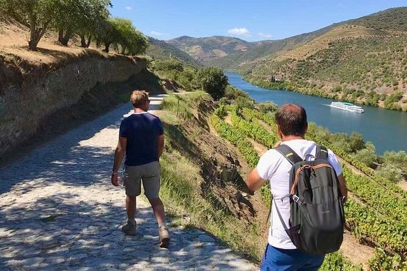 Randonnée dans le Pinhão