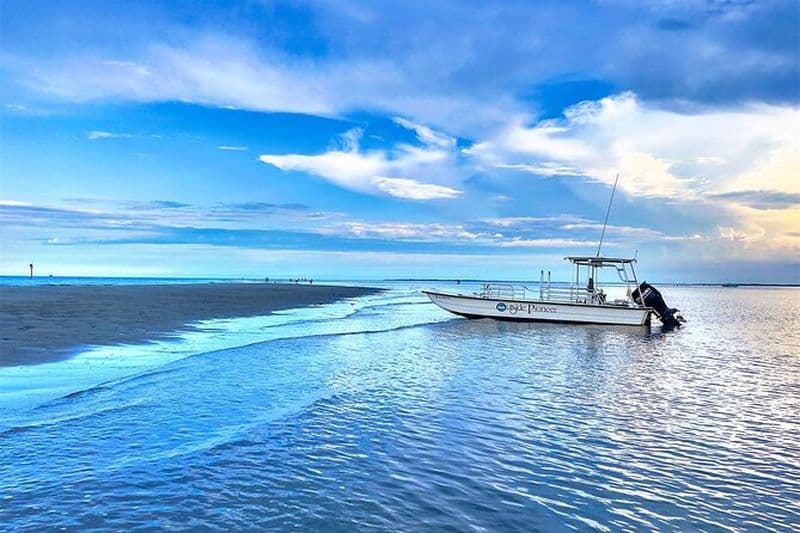 Éco-excursion sur la côte de Savannah avec observation des dauphins