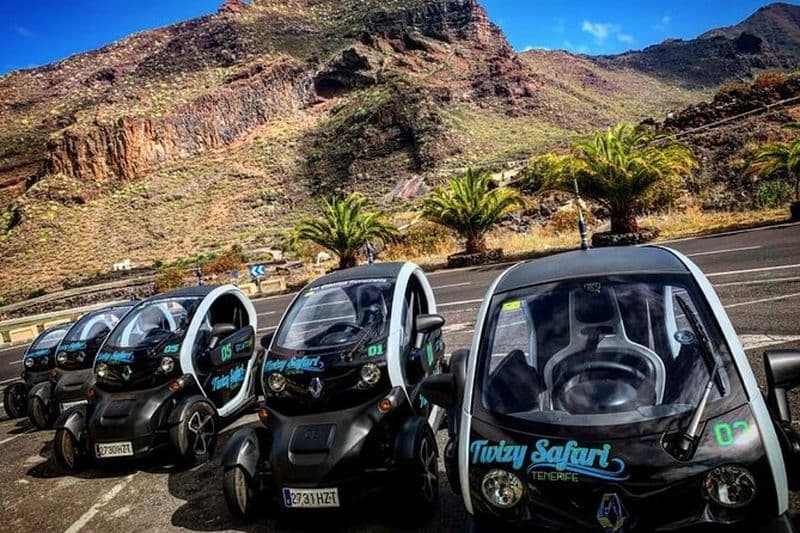 Billet 4 heures Eco Safari Tour avec voiture électrique à Tenerife