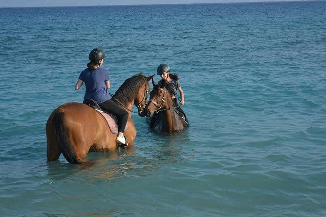 Équitation, plage, rhodes