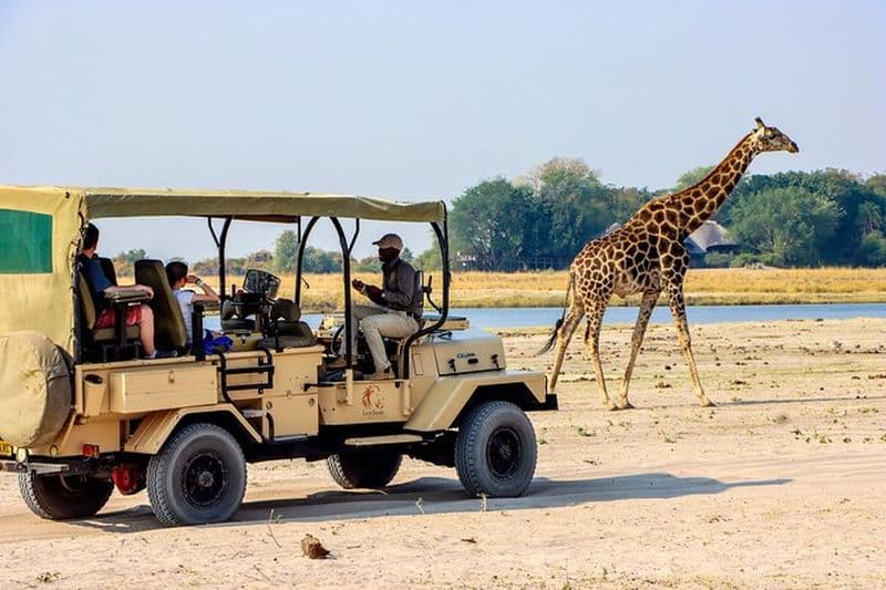 3 heures Game drive dans le parc national de Chobe (Leon Safaris Gold)