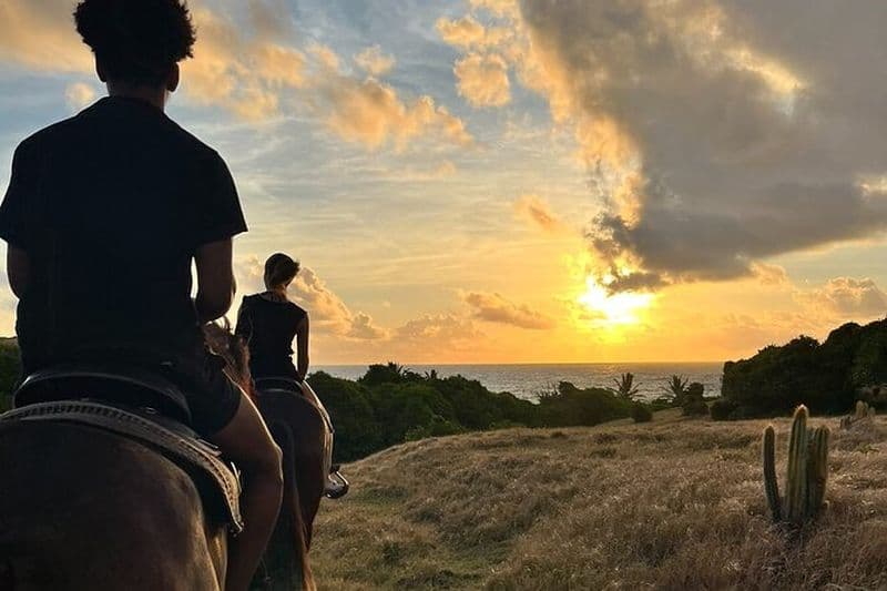 Promenade privée à cheval sur la plage au lever du soleil avec Sandy Hoofs Sainte-Lucie