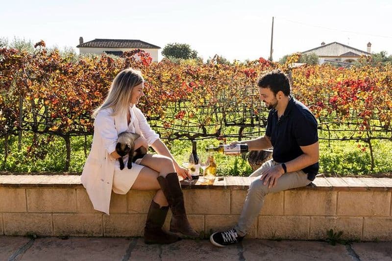 Malaga : Visite de vignobles et de caves avec 6 Top Vins et tapas