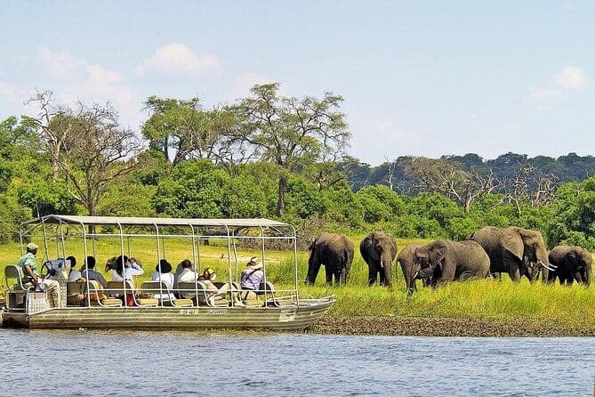 Croisière de 3 heures sur la rivière Chobe