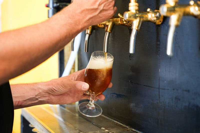 Visitez une brasserie et dégustez des bières