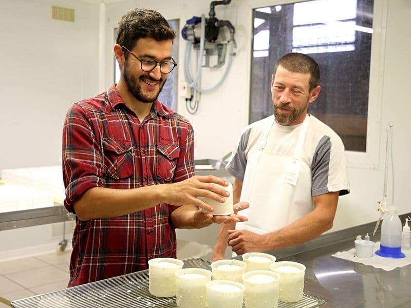 Billet Fabriquez votre fromage de chèvre à la ferme