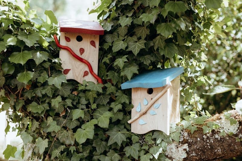 Fabriquez votre nichoir à oiseaux en bois