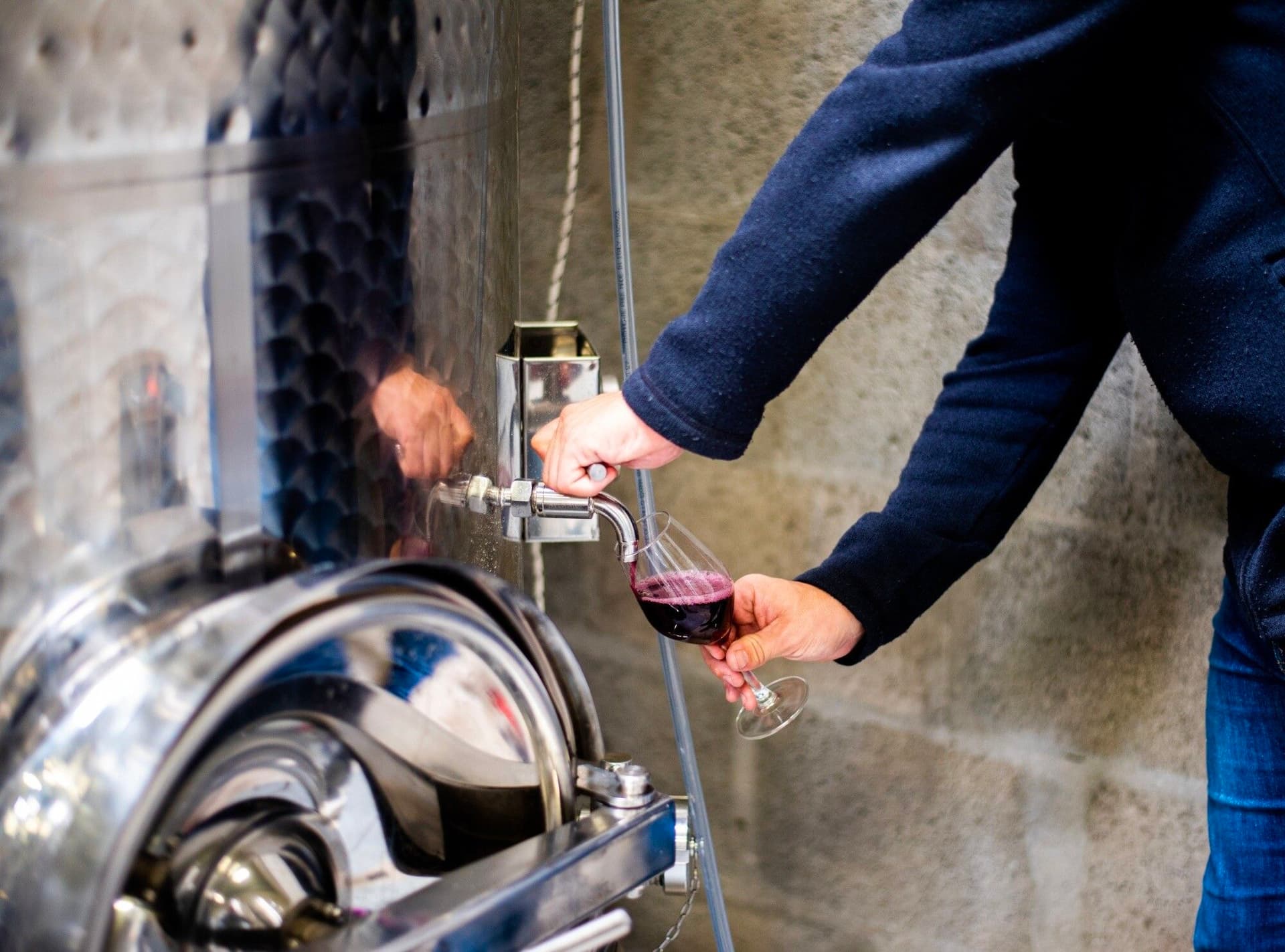 Initiez-vous aux bases de la dégustation de vin